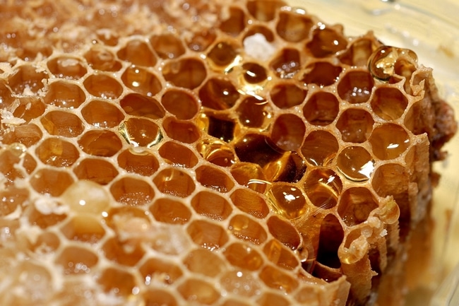 ruche abeilles alvéoles karethic