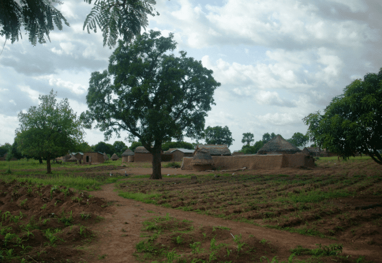 impact écologique positif de Karethic